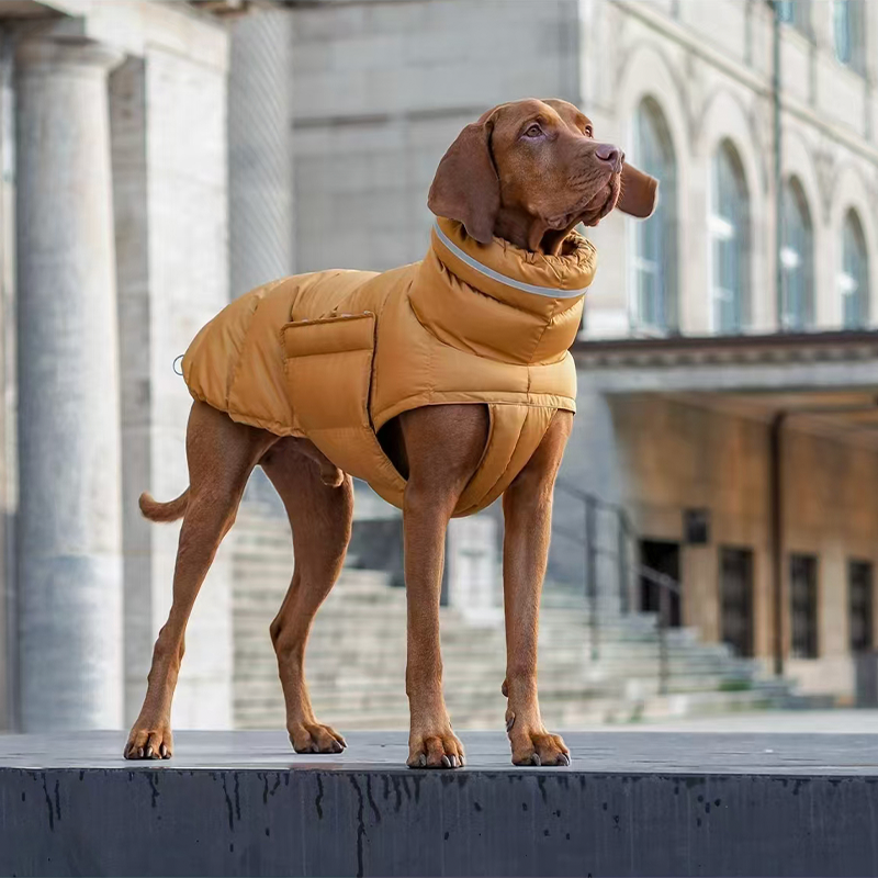 Cotton Padded Jacket Vest for Italian greyhound Whippet