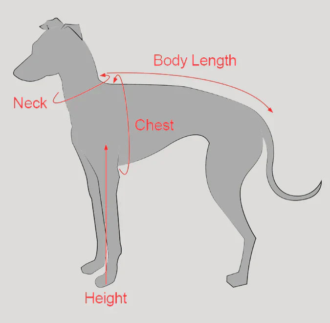 Turtleneck Knit Sweater with Pom-Poms