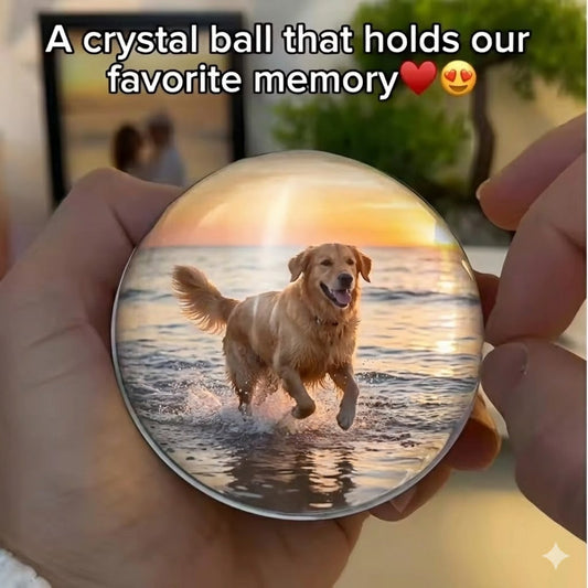The Pet Memory Orb