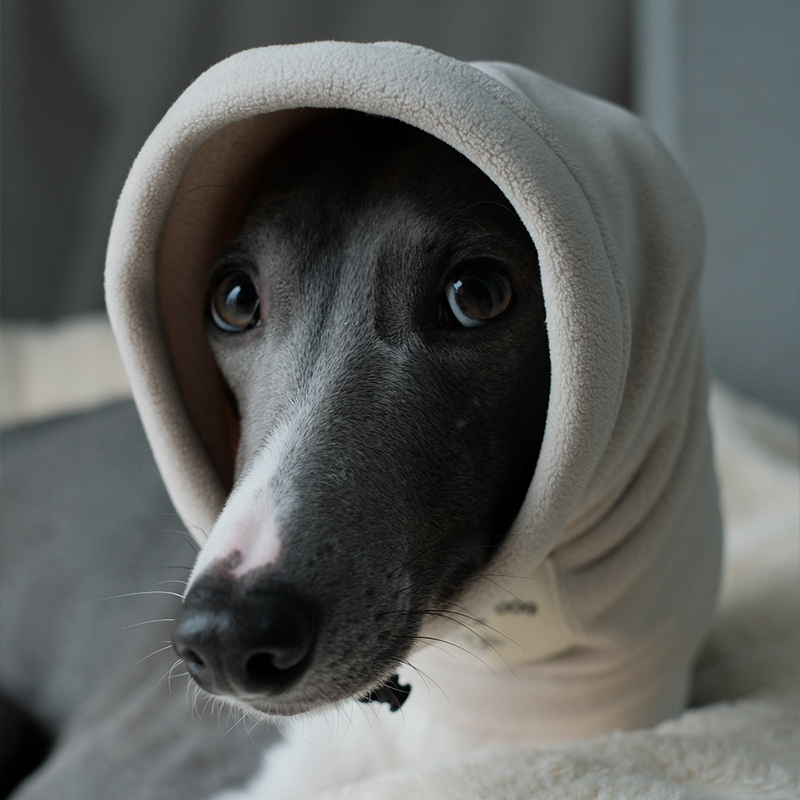 Thermal Windproof Hat Italian Greyhound Whippet Winter Dog Hat