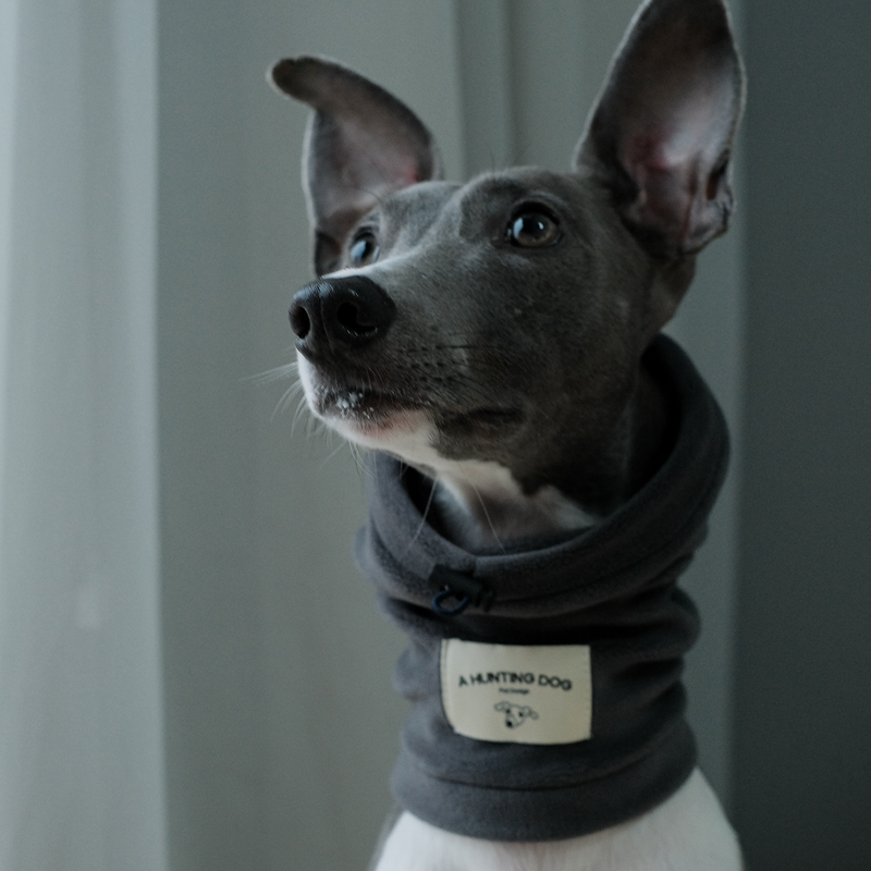 Thermal Windproof Hat Italian Greyhound Whippet Winter Dog Hat