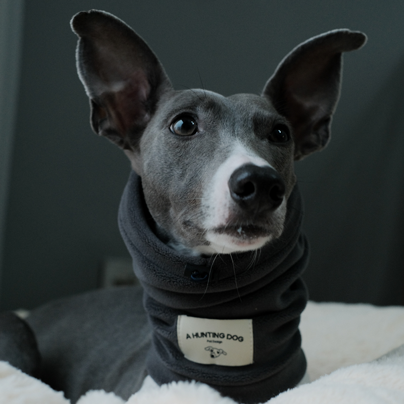 Thermal Windproof Hat Italian Greyhound Whippet Winter Dog Hat