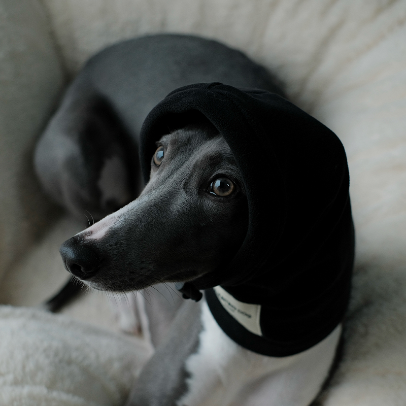 Thermal Windproof Hat Italian Greyhound Whippet Winter Dog Hat