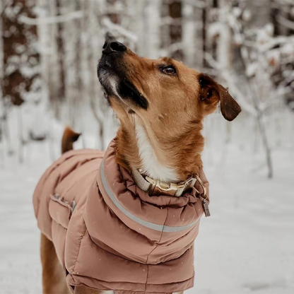 Cotton Padded Jacket Vest for Italian greyhound Whippet
