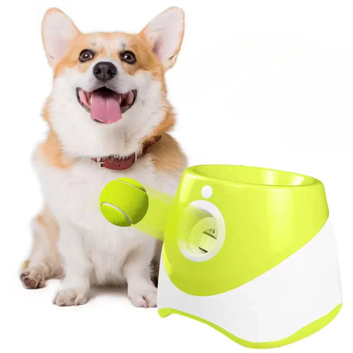 Automatic Ball Launcher