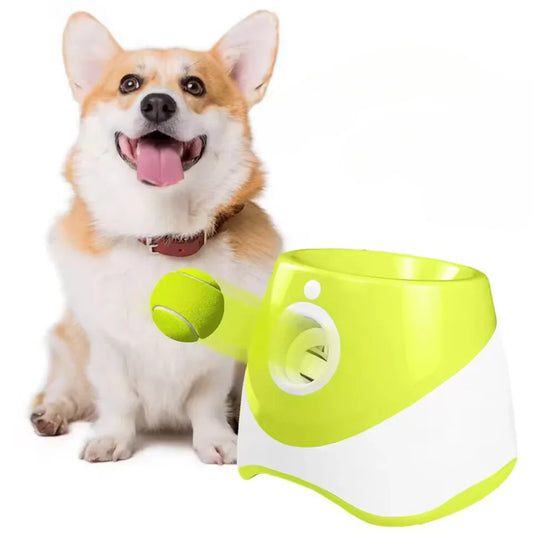 Automatic Ball Launcher