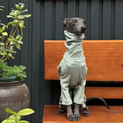Italian Greyhound Fleece-Lined Velvet Hoodie – Green Striped Warm Dog Clothing