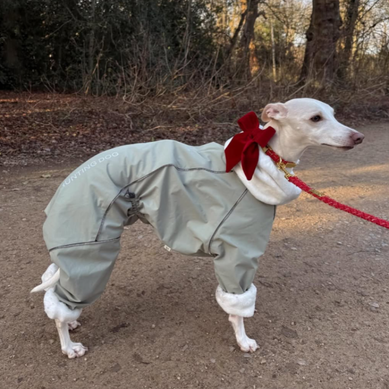 Winter Waterproof Windproof Onesie Italian Greyhound Whippet Clothes