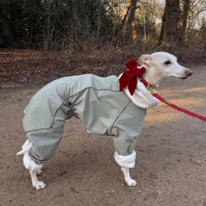 Winter Waterproof Windproof Onesie Italian Greyhound Whippet Clothes