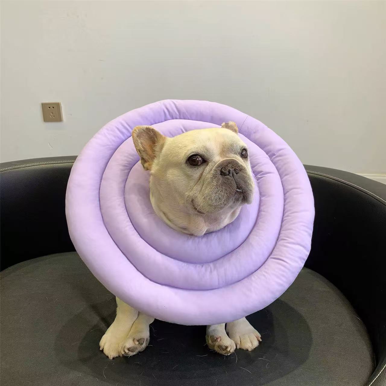 Recovery Cone Adjustable Collar for Dog & Cat