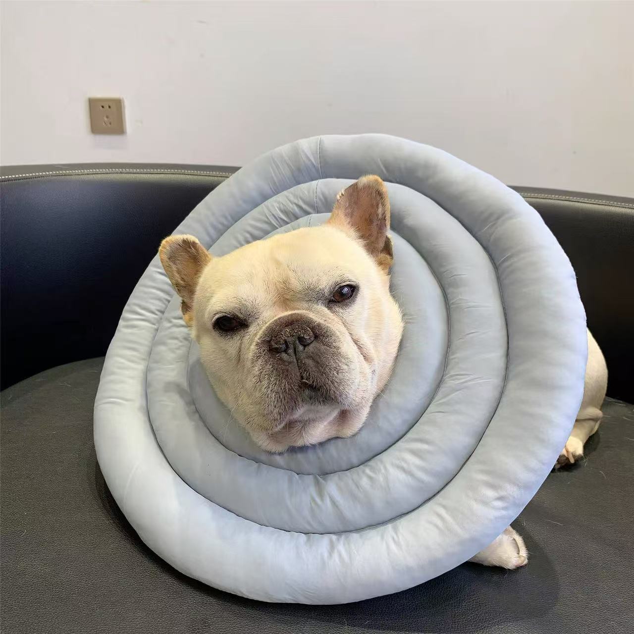 Recovery Cone Adjustable Collar for Dog & Cat
