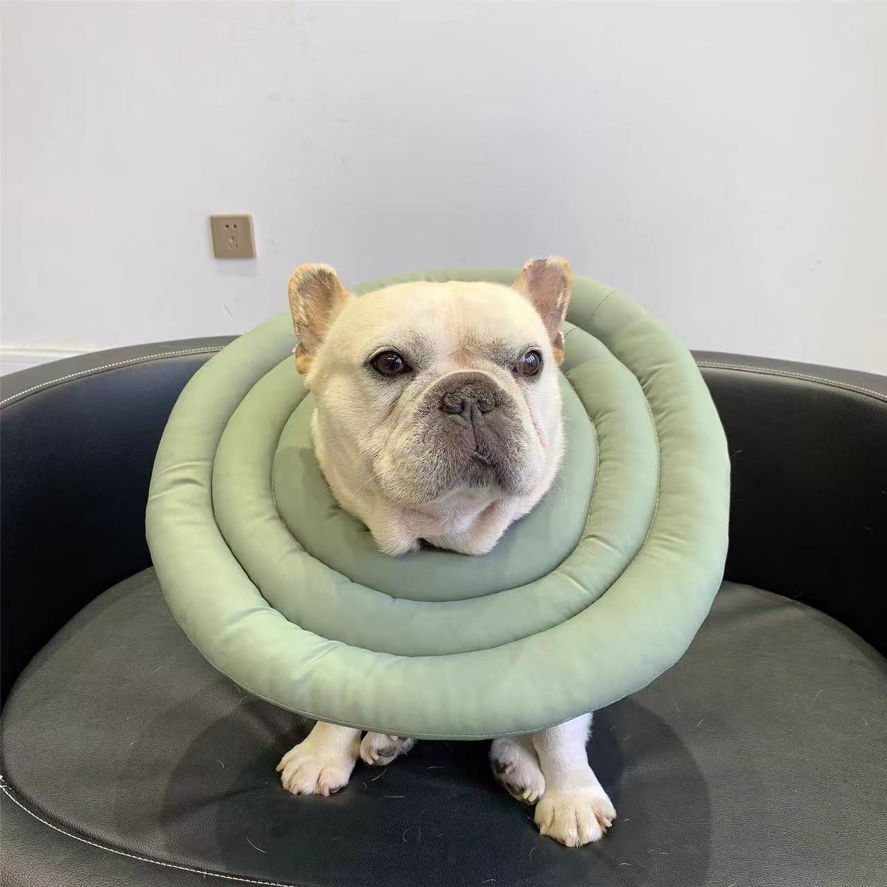 Recovery Cone Adjustable Collar for Dog & Cat