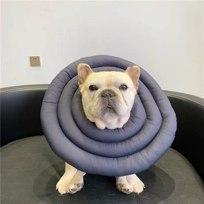 Recovery Cone Adjustable Collar for Dog & Cat