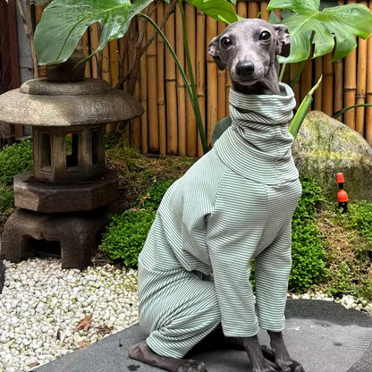 Italian Greyhound Fleece-Lined Velvet Hoodie – Green Striped Warm Dog Clothing