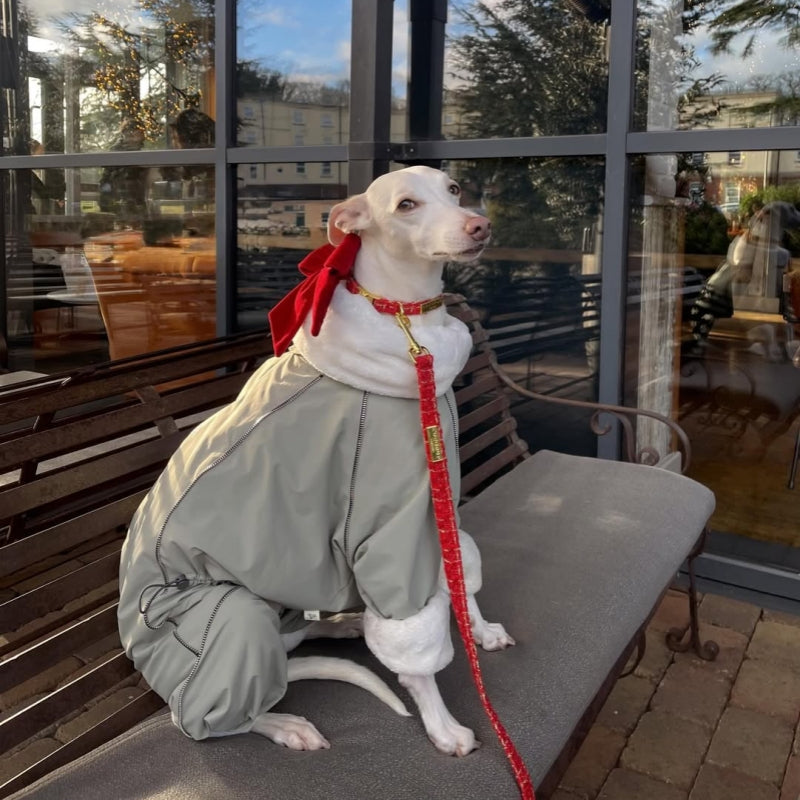 Winter Waterproof Windproof Onesie Italian Greyhound Whippet Clothes
