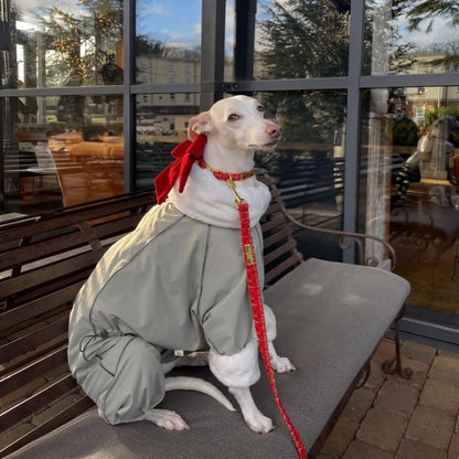 Winter Waterproof Windproof Onesie Italian Greyhound Whippet Clothes