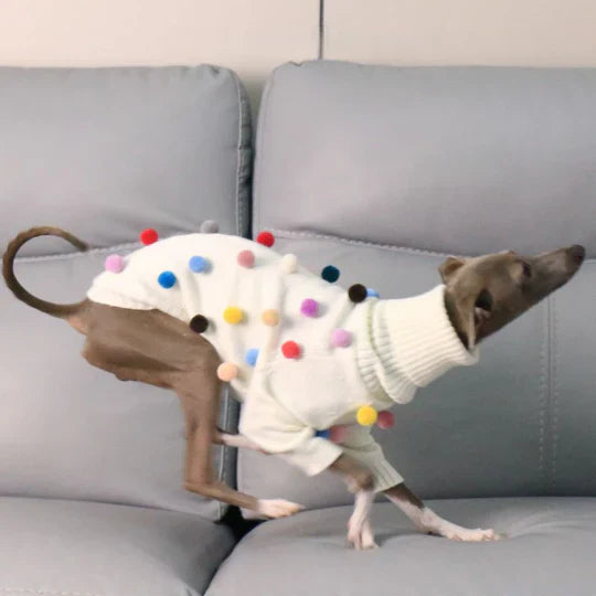 Turtleneck Knit Sweater with Pom-Poms for Italian Greyhound & Whippets