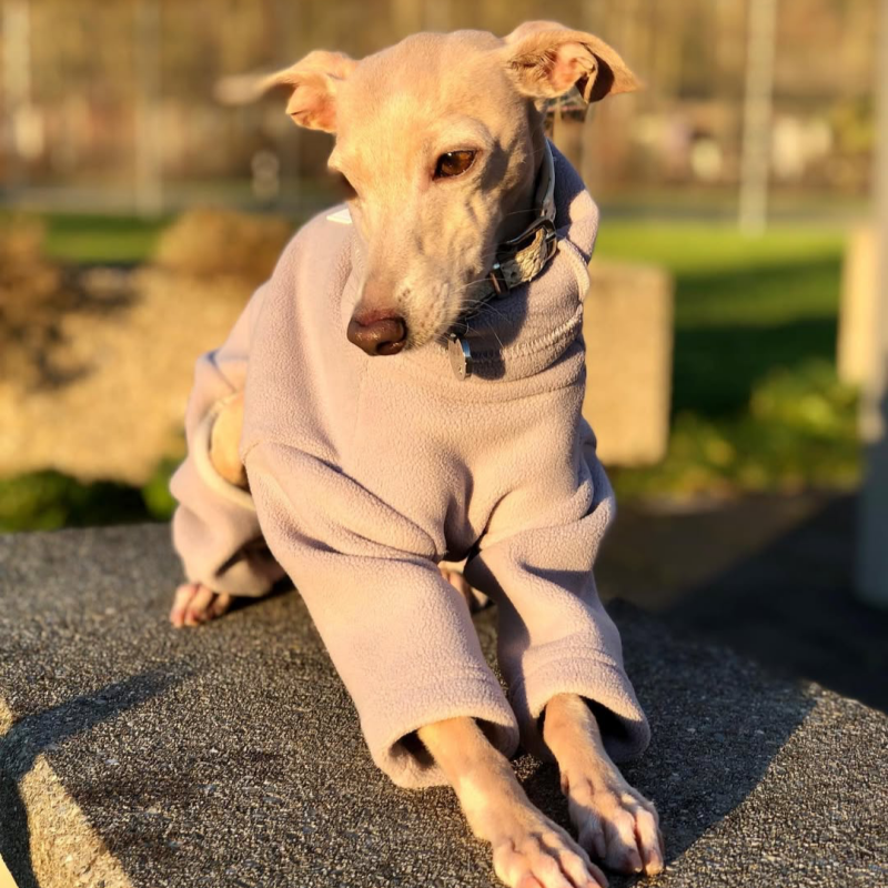 Turtleneck Fleece Onesie for Italian greyhound Whippet Dog Clothes