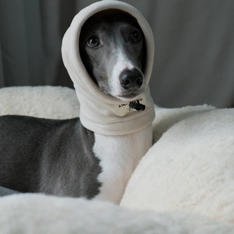 Thermal Windproof Hat Italian Greyhound Whippet Winter Dog Hat