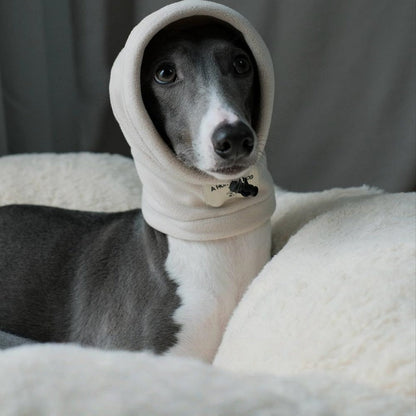 Thermal Windproof Hat Italian Greyhound Whippet Winter Dog Hat