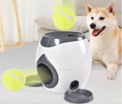 Smart Pet Play Feeder