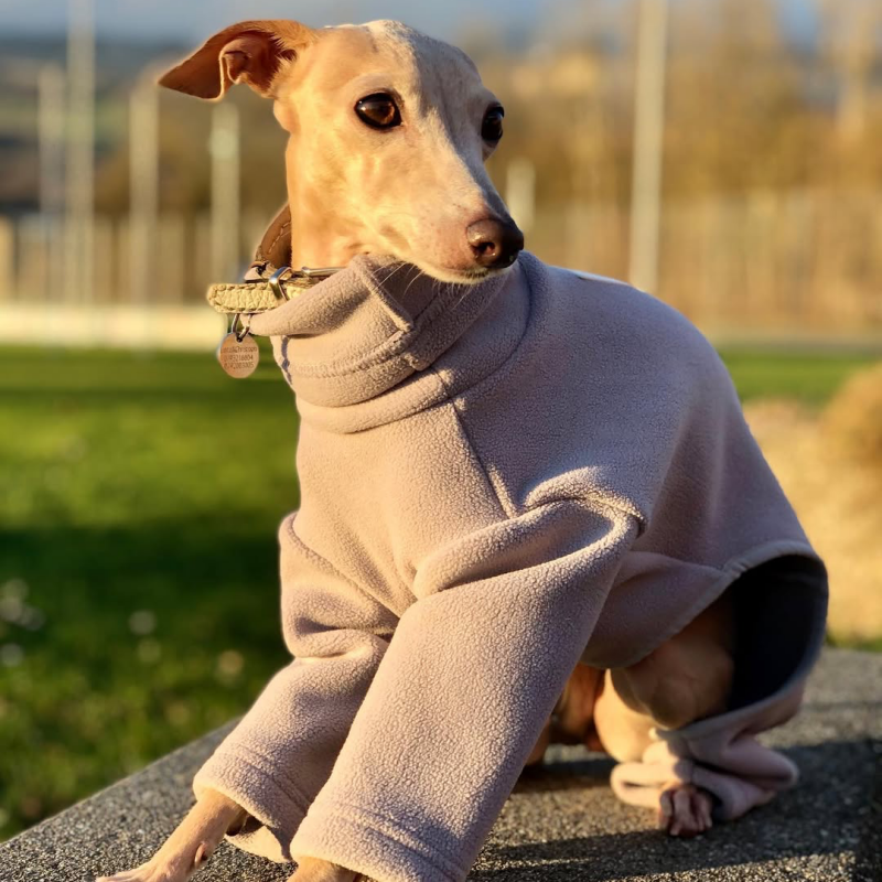 Turtleneck Fleece Onesie for Italian greyhound Whippet Dog Clothes