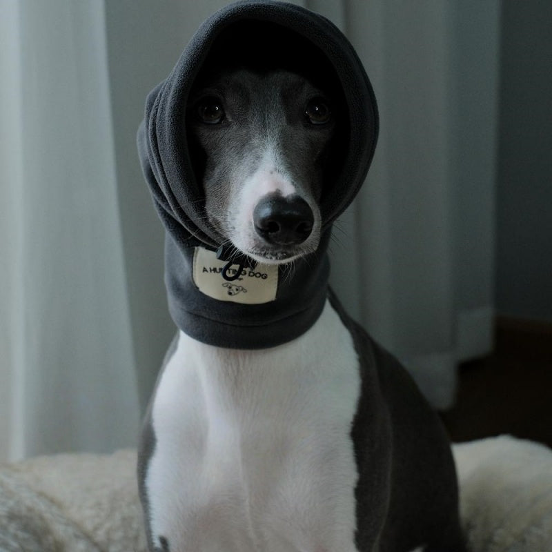 Thermal Windproof Hat Italian Greyhound Whippet Winter Dog Hat