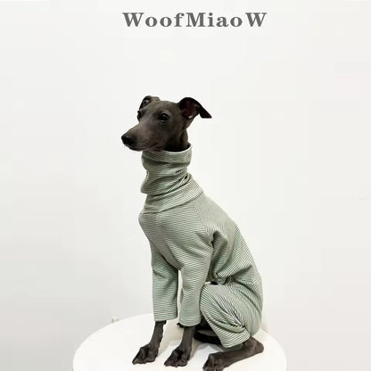 Italian Greyhound Fleece-Lined Velvet Hoodie – Green Striped Warm Dog Clothing