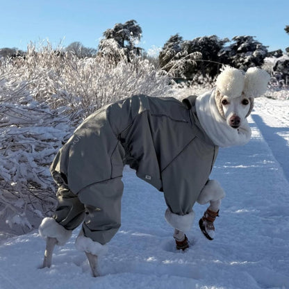 Winter Waterproof Windproof Onesie Italian Greyhound Whippet Clothes