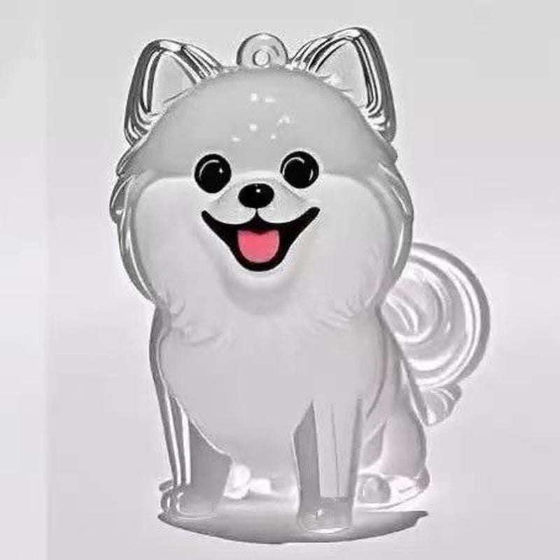 Forever Paw Pet Hair Keepsake Capsule Keychain