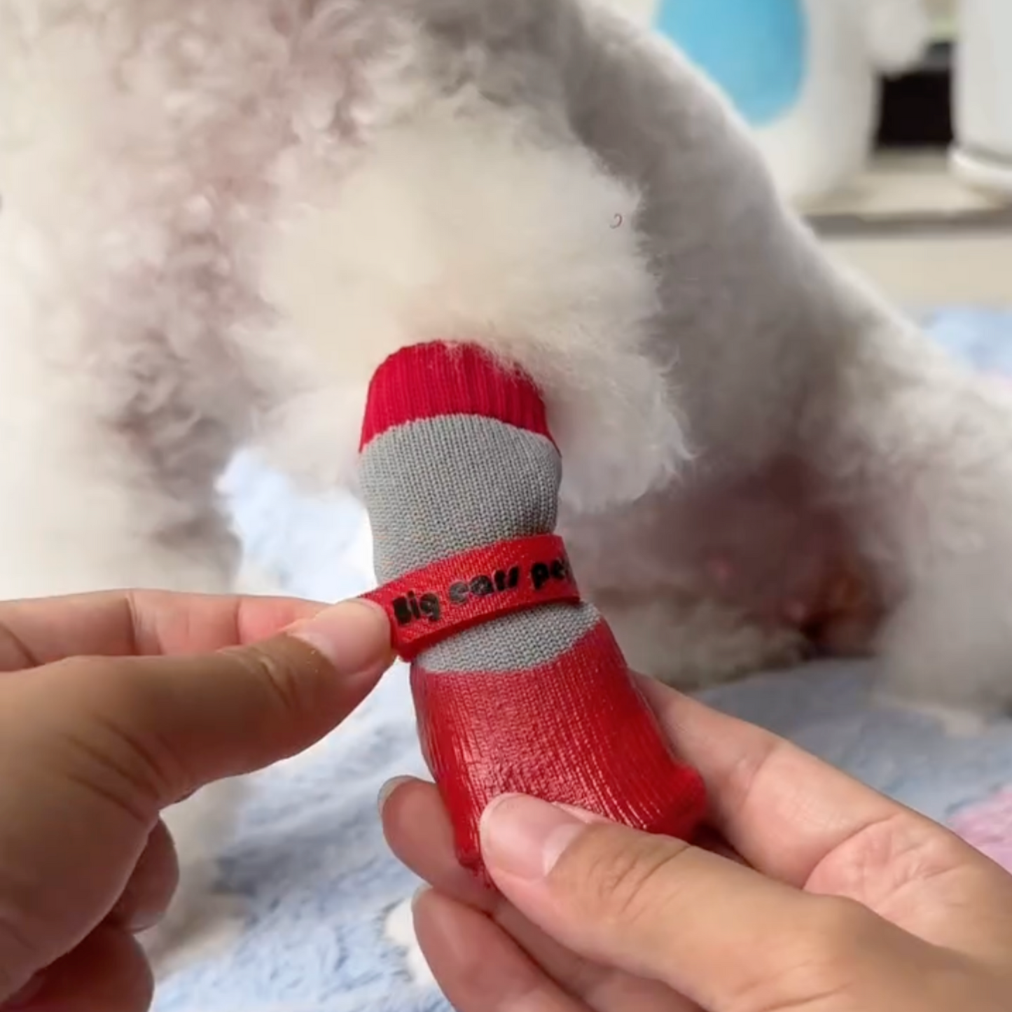 Cozy Waterproof Pet Boots – Winter Protection & Comfort