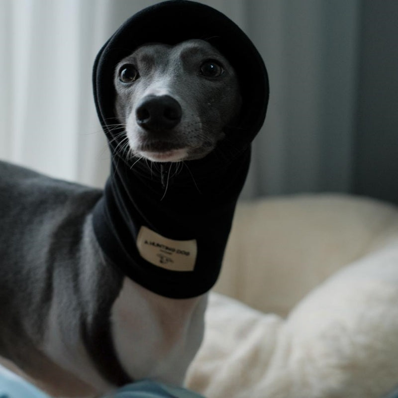 Thermal Windproof Hat Italian Greyhound Whippet Winter Dog Hat