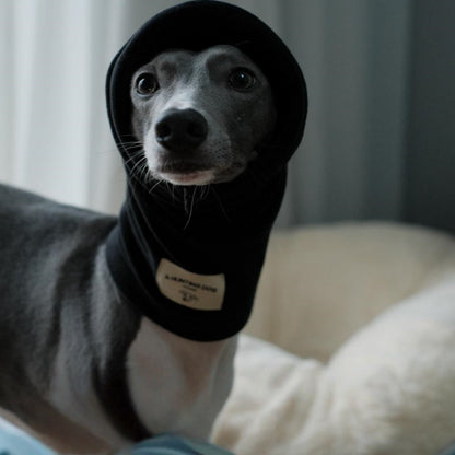 Thermal Windproof Hat Italian Greyhound Whippet Winter Dog Hat