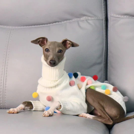 Turtleneck Knit Sweater with Pom-Poms for Italian Greyhound & Whippets