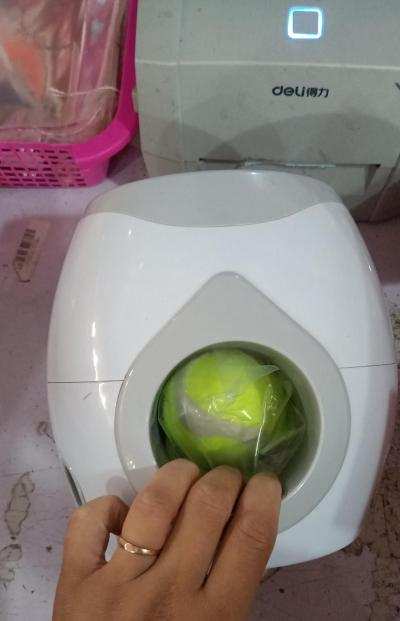 Smart Pet Play Feeder