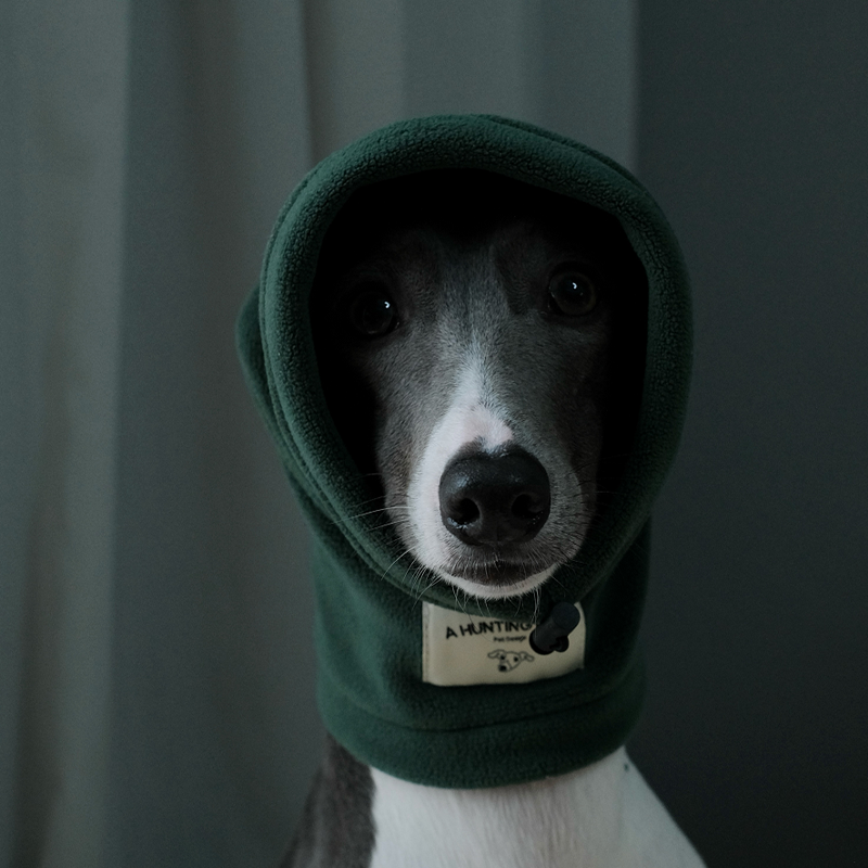 Thermal Windproof Hat Italian Greyhound Whippet Winter Dog Hat