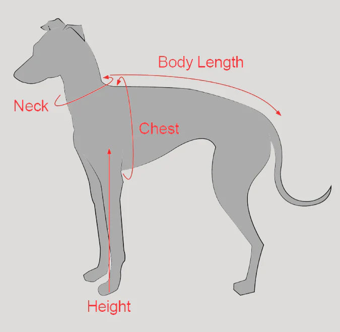 Turtleneck Knit Sweater with Pom-Poms for Italian Greyhound & Whippets