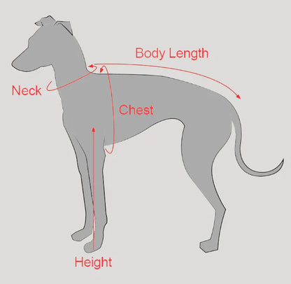 Turtleneck Knit Sweater with Pom-Poms for Italian Greyhound & Whippets