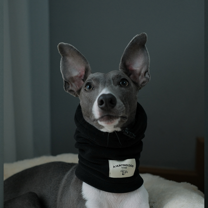 Thermal Windproof Hat Italian Greyhound Whippet Winter Dog Hat