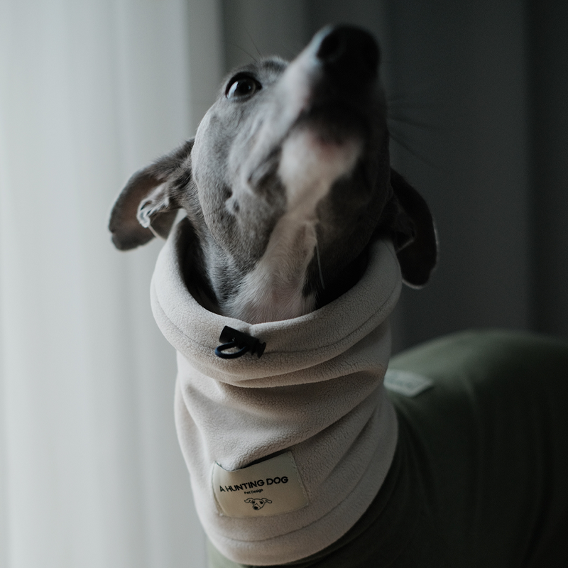Thermal Windproof Hat Italian Greyhound Whippet Winter Dog Hat
