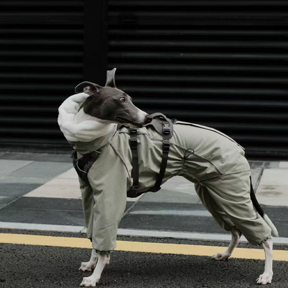 Winter Waterproof Windproof Onesie Italian Greyhound Whippet Clothes