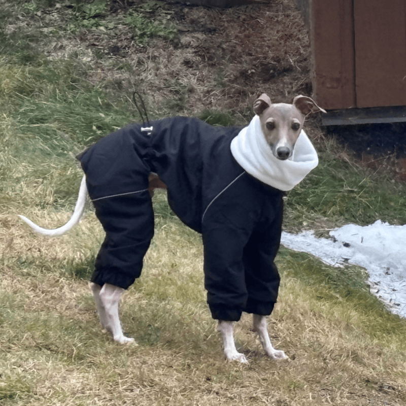 Winter Windproof Fleece Onesie Italian Greyhound Whippet Clothes