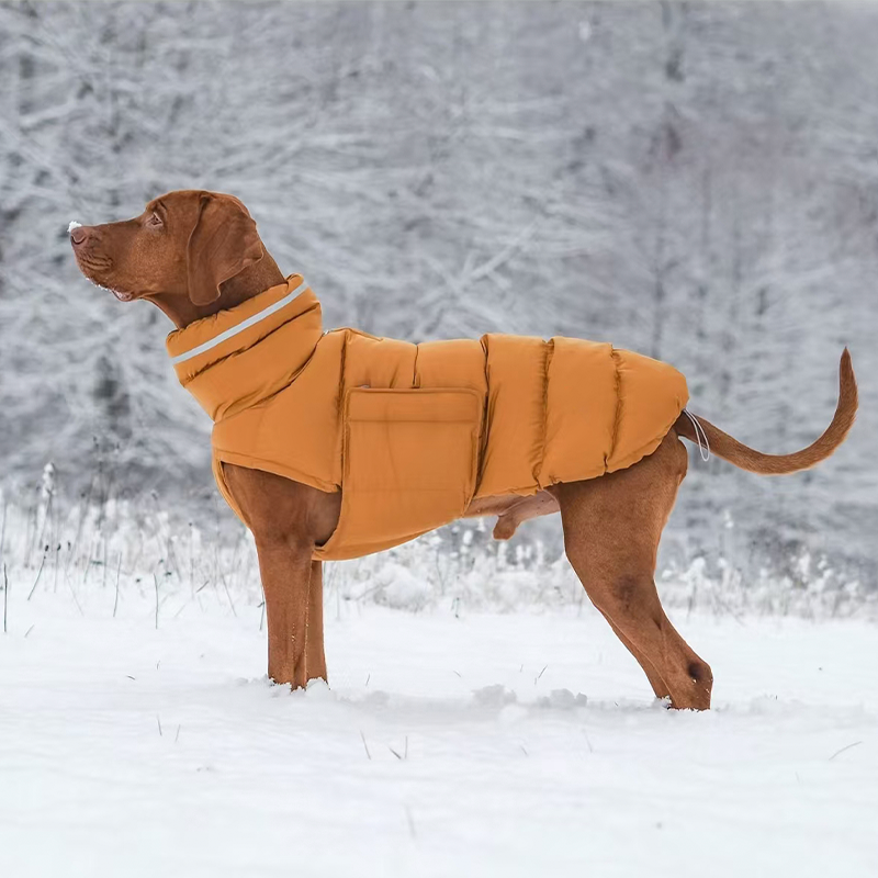 Cotton Padded Jacket Vest for Italian greyhound Whippet