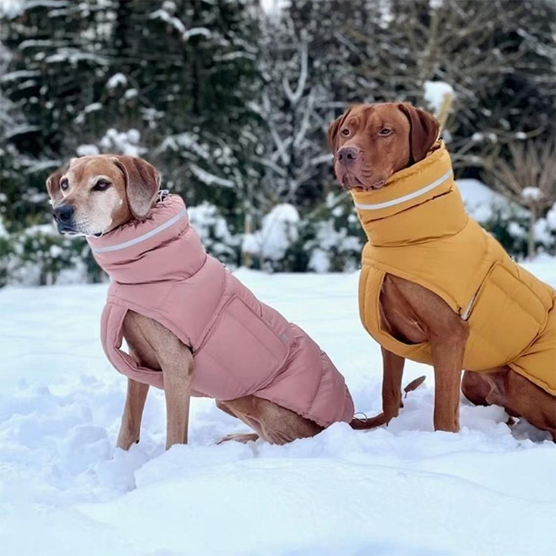 Cotton Padded Jacket Vest for Italian greyhound Whippet