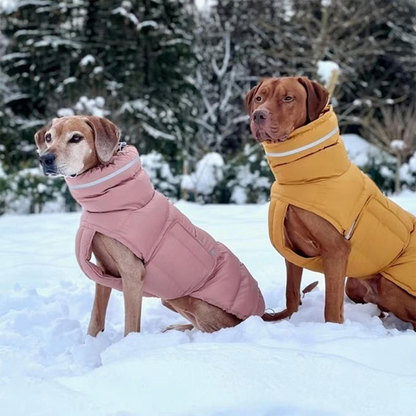 Cotton Padded Jacket Vest for Italian greyhound Whippet