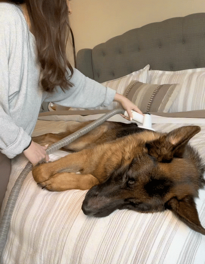 PawCraze 6-1 Pet Grooming Vacuum