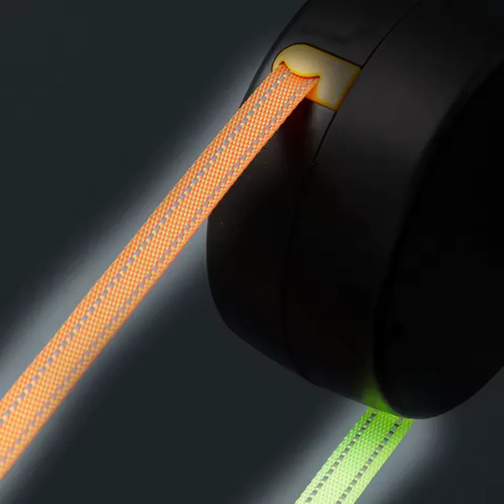 Premium 3M Double Dog Leash with LED