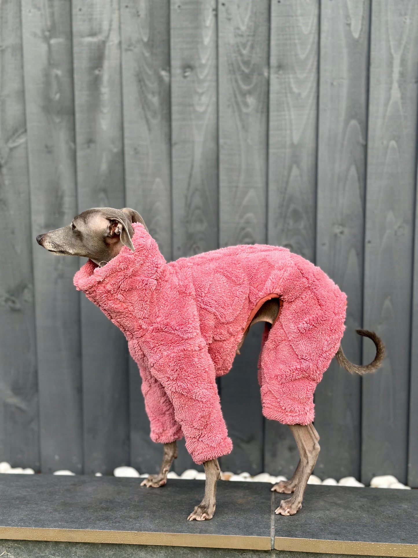 Plush Iggy Jumpsuit | Pink