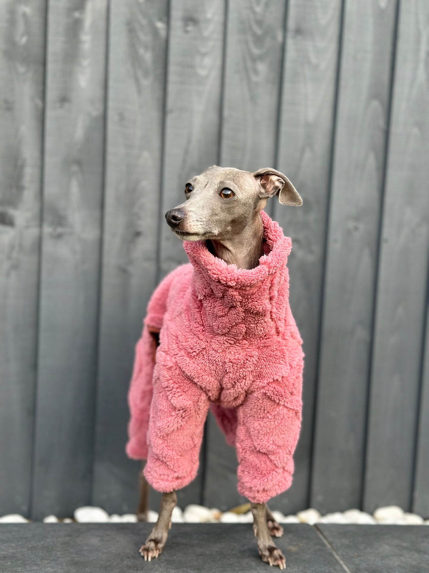 Plush Iggy Jumpsuit | Pink