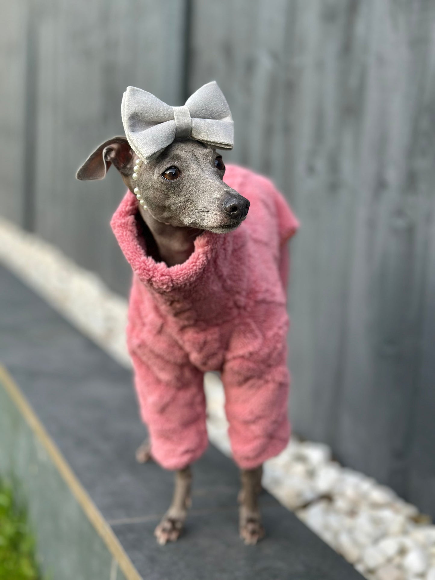 Plush Iggy Jumpsuit | Pink